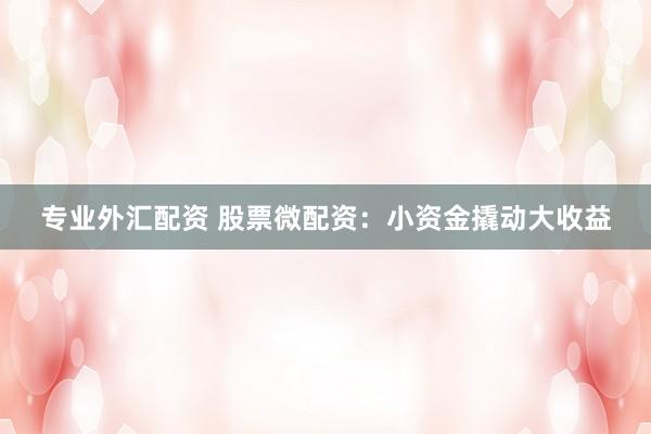 专业外汇配资 股票微配资：小资金撬动大收益