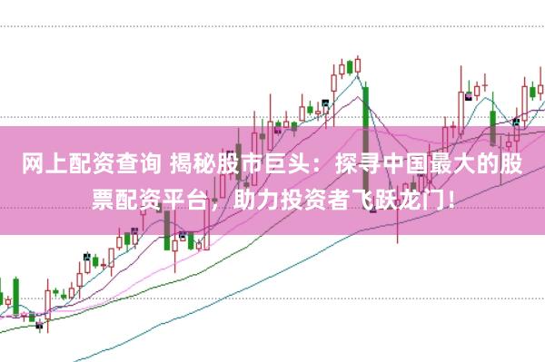 网上配资查询 揭秘股市巨头：探寻中国最大的股票配资平台，助力投资者飞跃龙门！
