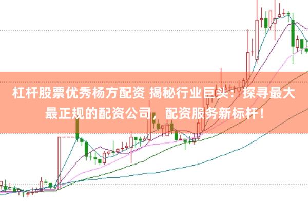 杠杆股票优秀杨方配资 揭秘行业巨头：探寻最大最正规的配资公司，配资服务新标杆！