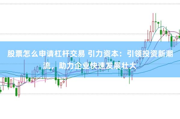 股票怎么申请杠杆交易 引力资本：引领投资新潮流，助力企业快速发展壮大