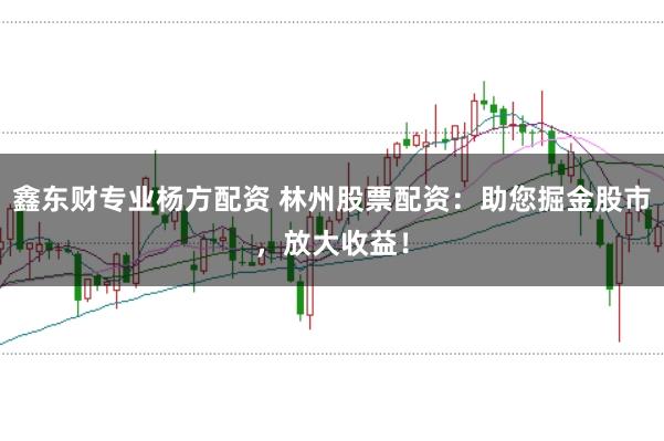 鑫东财专业杨方配资 林州股票配资：助您掘金股市，放大收益！