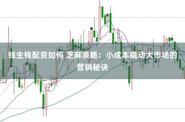 钱生钱配资如何 芝麻策略：小成本撬动大市场的营销秘诀