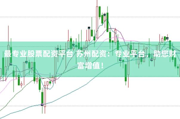 最专业股票配资平台 苏州配资：专业平台，助您财富增值！