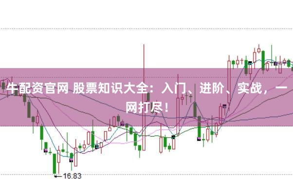 牛配资官网 股票知识大全：入门、进阶、实战，一网打尽！