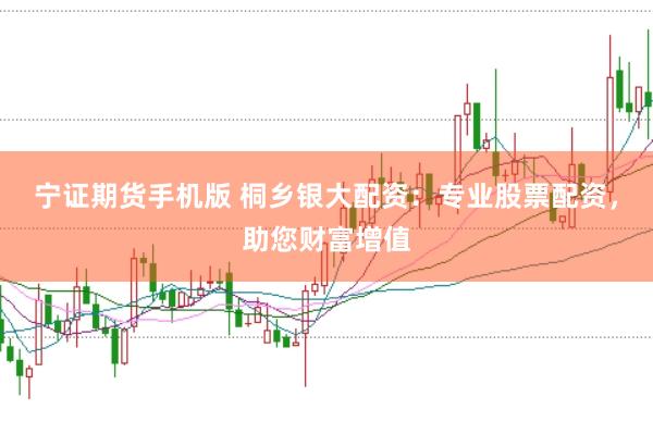 宁证期货手机版 桐乡银大配资：专业股票配资，助您财富增值