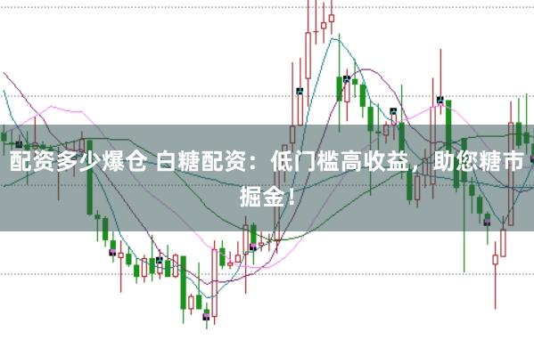配资多少爆仓 白糖配资：低门槛高收益，助您糖市掘金！