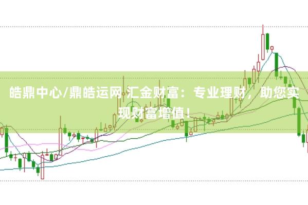 皓鼎中心/鼎皓运网 汇金财富：专业理财，助您实现财富增值！