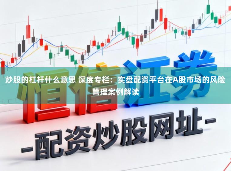 炒股的杠杆什么意思 深度专栏：实盘配资平台在A股市场的风险管理案例解读